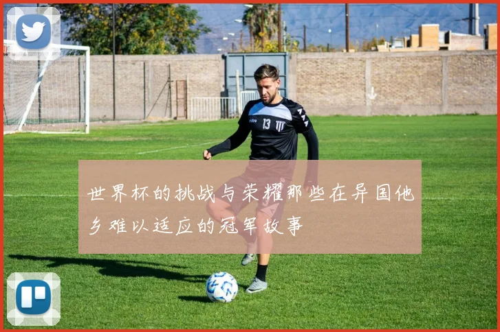 世界杯的挑战与荣耀那些在异国他乡难以适应的冠军故事