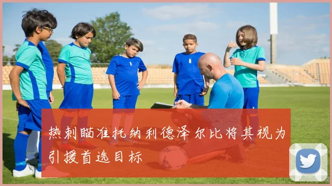 热刺瞄准托纳利德泽尔比将其视为引援首选目标